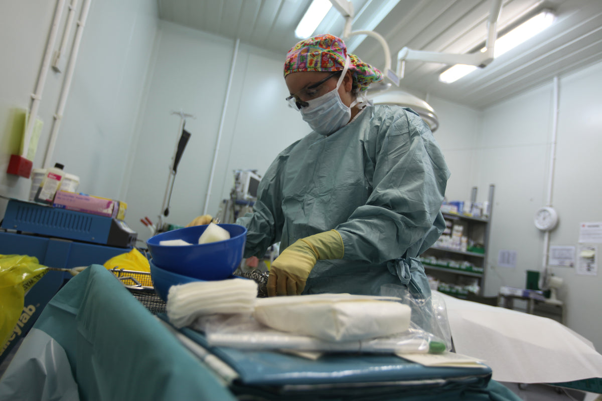 Medical personnel working at the British field hospital at Camp Bastion in Afghanistan