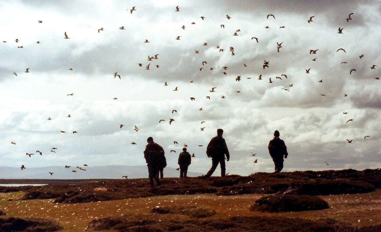 British sailors from HMS Cardiff ashore on Pebble Island during the Falklands War, June 1982