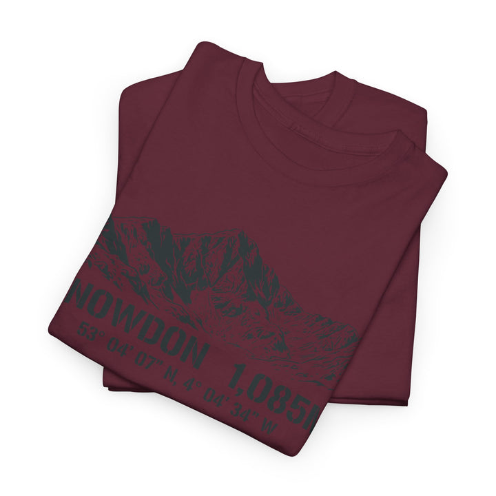Snowdon 1,085M Mountain Tee with Coordinates