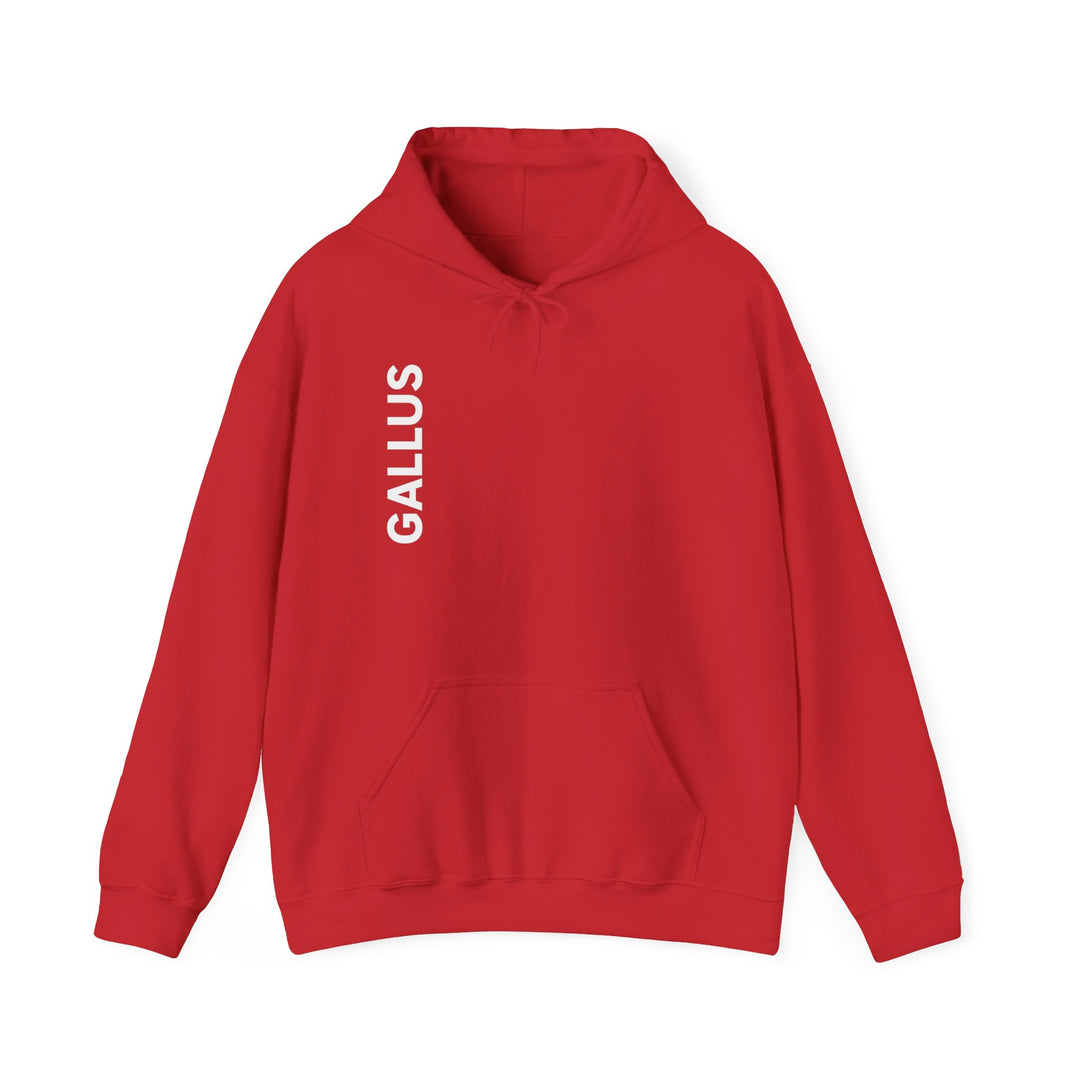 Gallus Compass Hoodie — &
