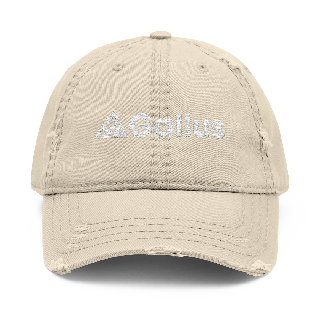 Distressed Embroidered Dad Hat - &