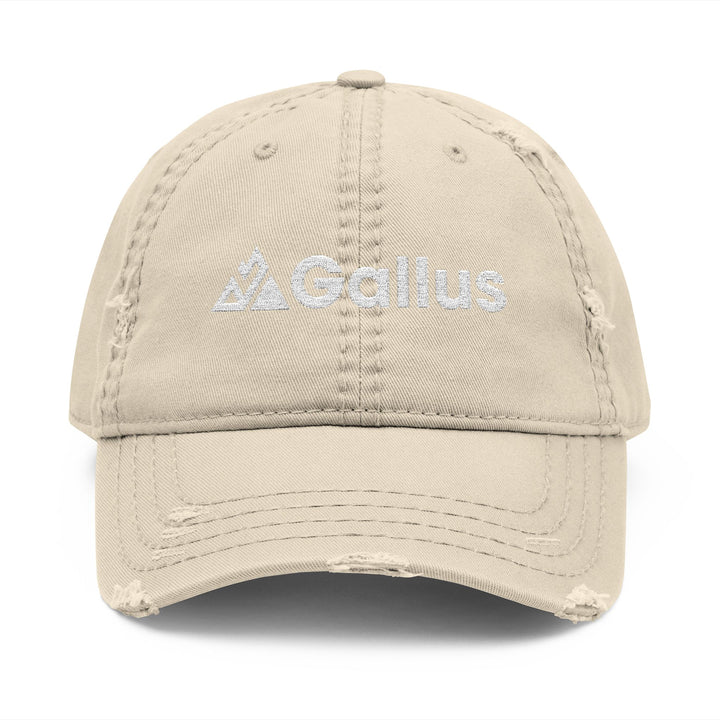Distressed Embroidered Dad Hat - &