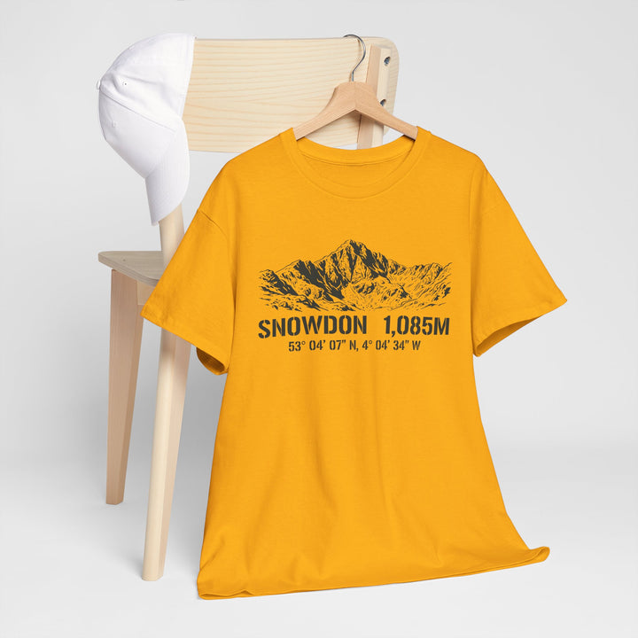 Snowdon 1,085M Mountain Tee with Coordinates