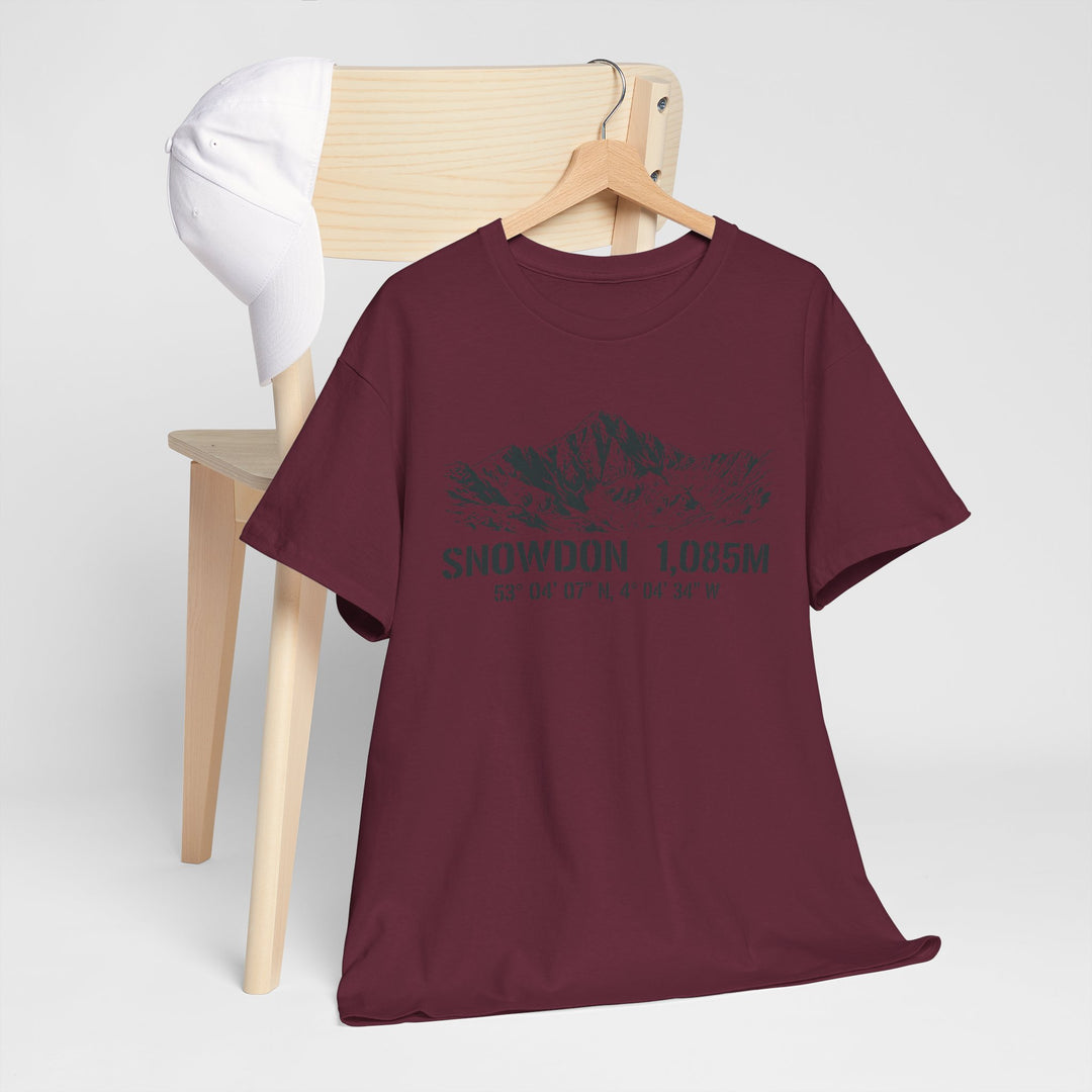 Snowdon 1,085M Mountain Tee with Coordinates
