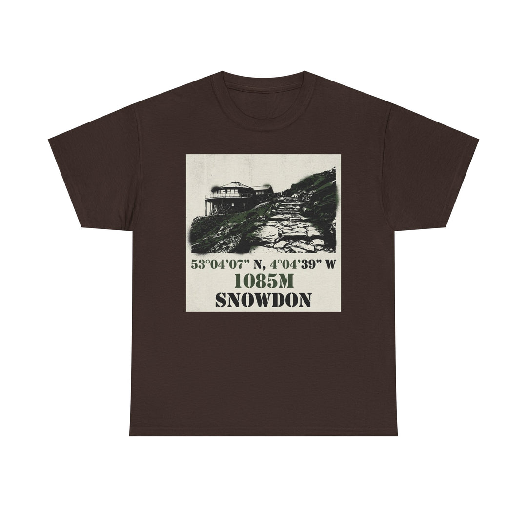 Snowdon 1085m Vintage Summit Tee — Mountain Coordinates Graphic T‑Shirt