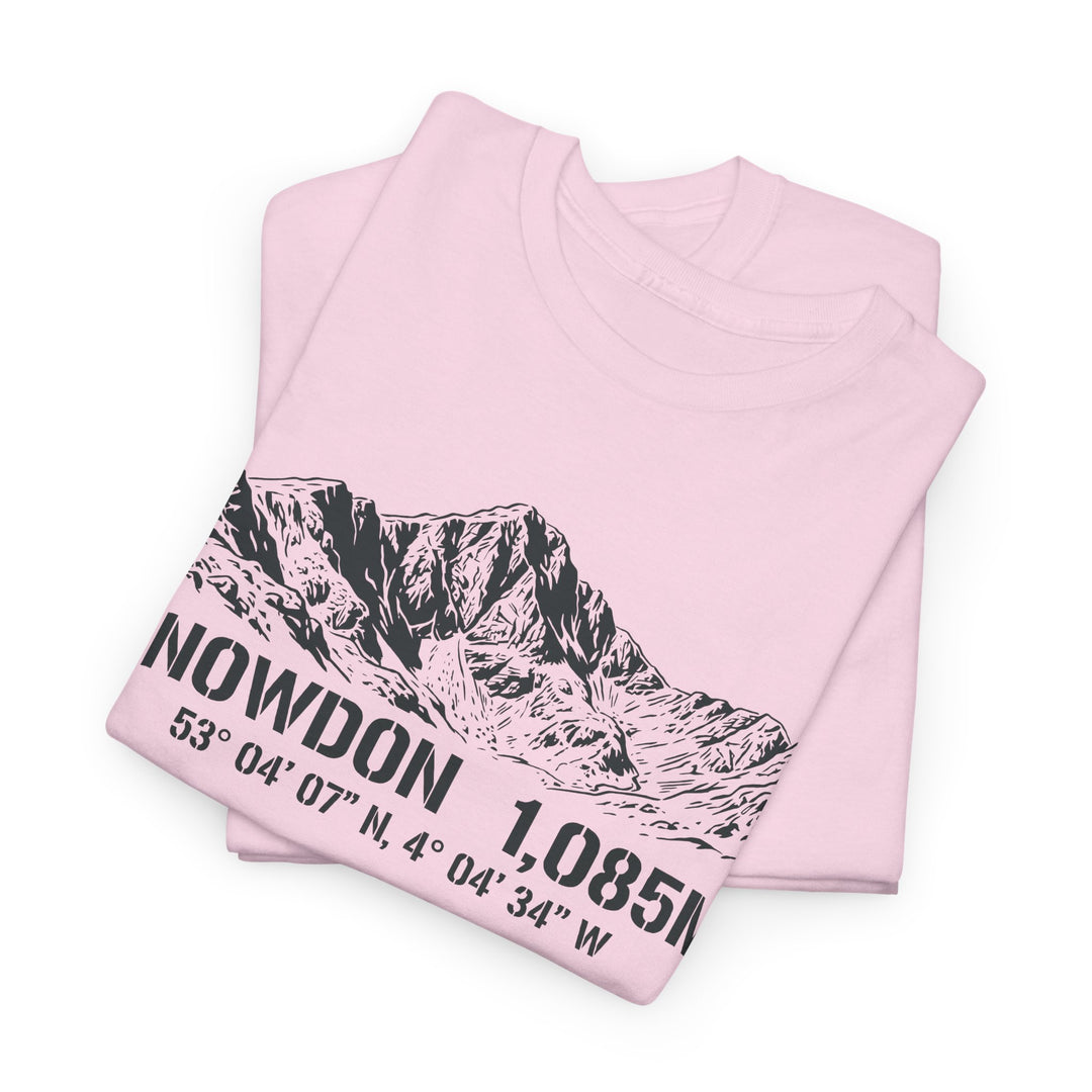 Snowdon 1,085M Mountain Tee with Coordinates