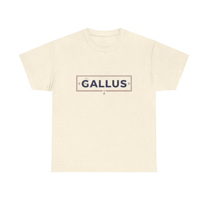 Poland Map T-Shirt — Gallus Logo Military-Style Polish Pride Tee