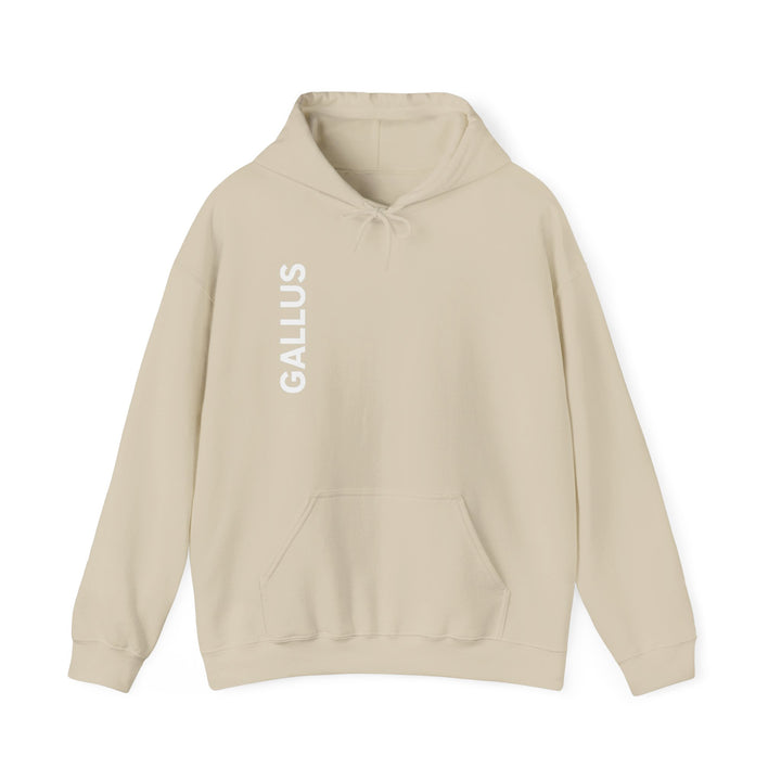 Gallus Compass Hoodie — &
