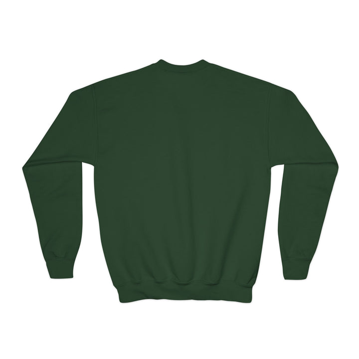 Youth Crewneck Sweatshirt — &