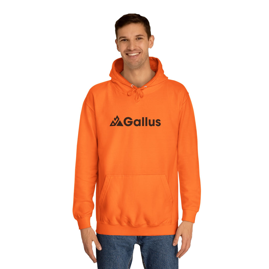Gallus Graphic Hoodie — Vintage Comic Panel Back Print