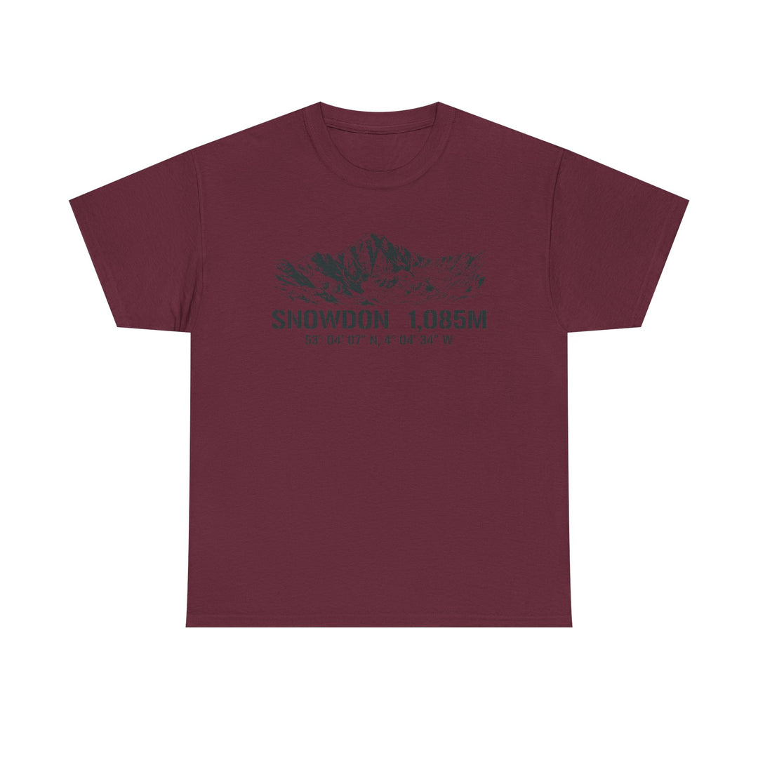 Snowdon 1,085M Mountain Tee with Coordinates
